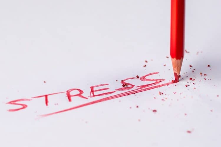 Coping with PTSD Stress